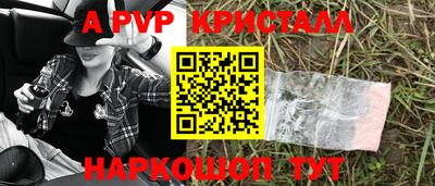 соль ск Кингисепп