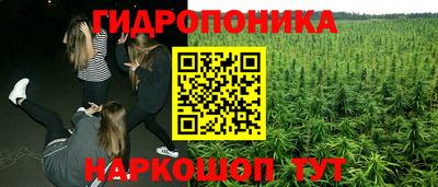 соль ск Кингисепп