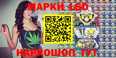 СК Кимры