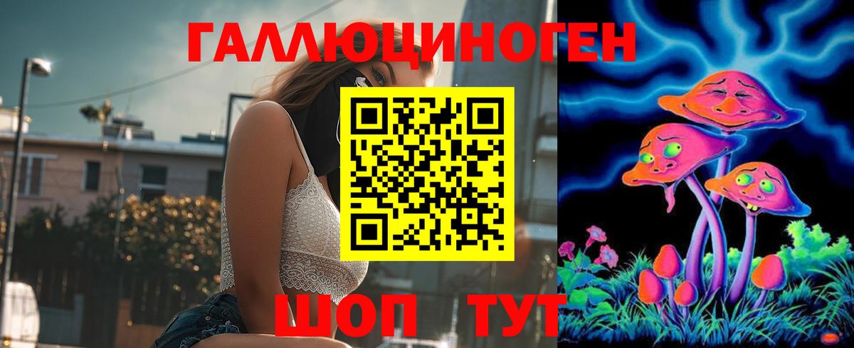 Галлюциногенные грибы Cubensis  Вход с VPN  Шали 
