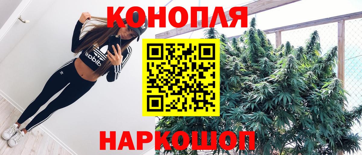 Бошки марихуана план  Вход с VPN  Шали  Конопля VHQ 
