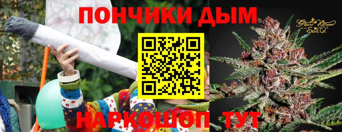 Шишки марихуана сатива Шали